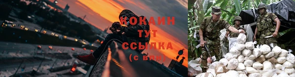 ГАЛЛЮЦИНОГЕННЫЕ ГРИБЫ Лабытнанги