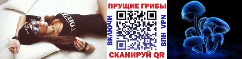 Псилоцибиновые грибы мицелий  Купить закладки  Сольцы 